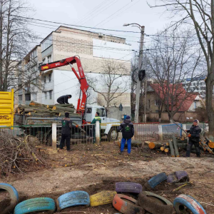 Curățarea copacilor de pe teritoriile grădinițelor și școlilor din sectorul Centru