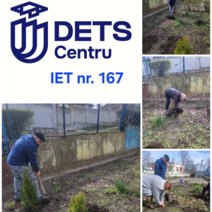 Verde și curat, îngrijit și amenajat- așa arată teritoriul grădinițelor și școlilor din sectorul Centru