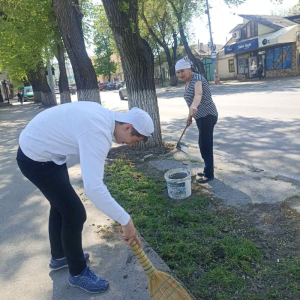 Activități de salubrizare a teritoriilor instituțiilor educaționale, din 11 aprilie